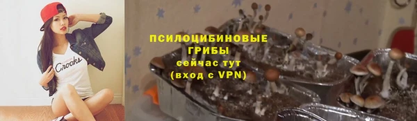 сатива Алексеевка